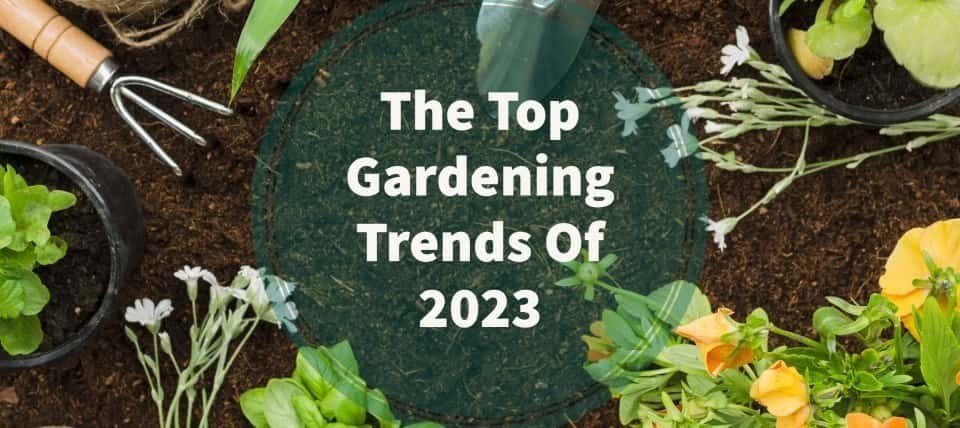 gardening trends
