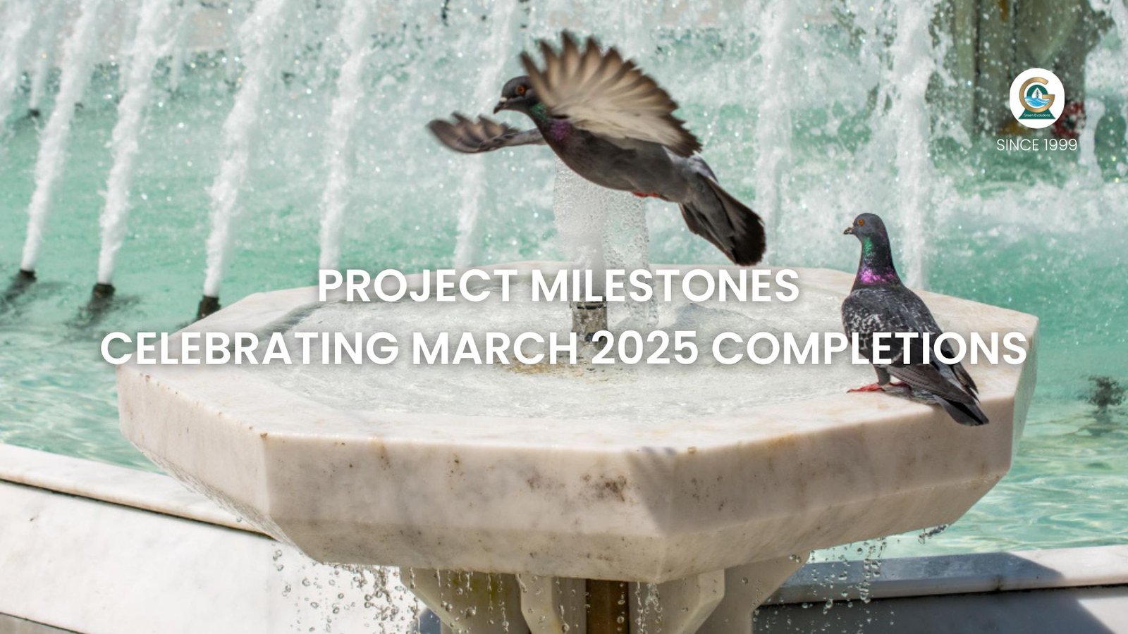 Project Milestones Celebrating March 2025 Completions
