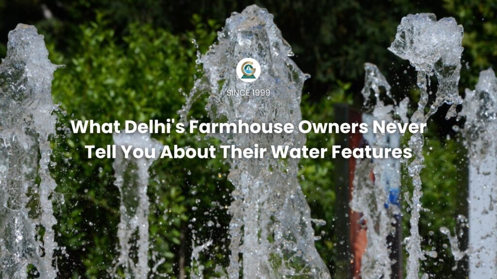 What Delhi's Farmhouse Owners Never Tell You About Their Water Features