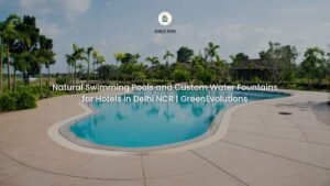 Natural Swimming Pools and Custom Water Fountains for Hotels in Delhi NCR