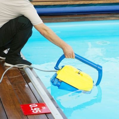 Natural swimming pool cleaning Delhi NCR including biological filtration zone care and maintenance