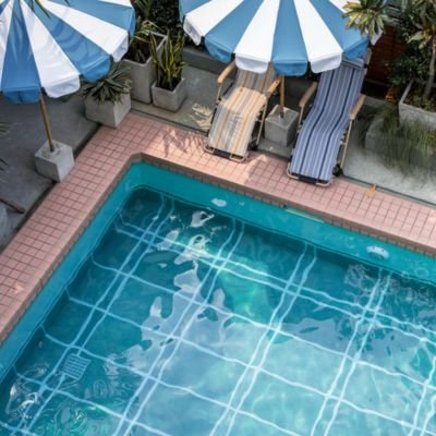 Natural swimming pool repair Delhi NCR including regeneration zone ecosystem maintenance