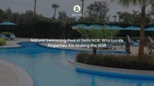Natural swimming pool with regeneration zone under construction in Delhi NCR by GreenEvolutions