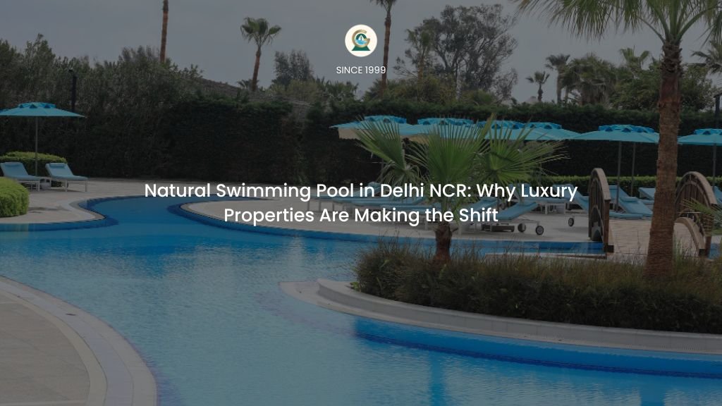 Natural swimming pool with regeneration zone under construction in Delhi NCR by GreenEvolutions